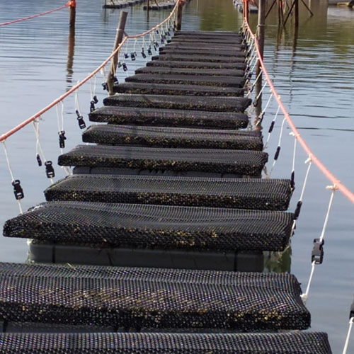 OyFloat galleggianti per allevamenti di ostriche